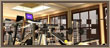 :: EQUIPPED GYMNASIUM ::